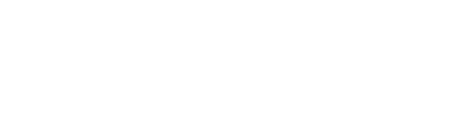 plusKMS logo